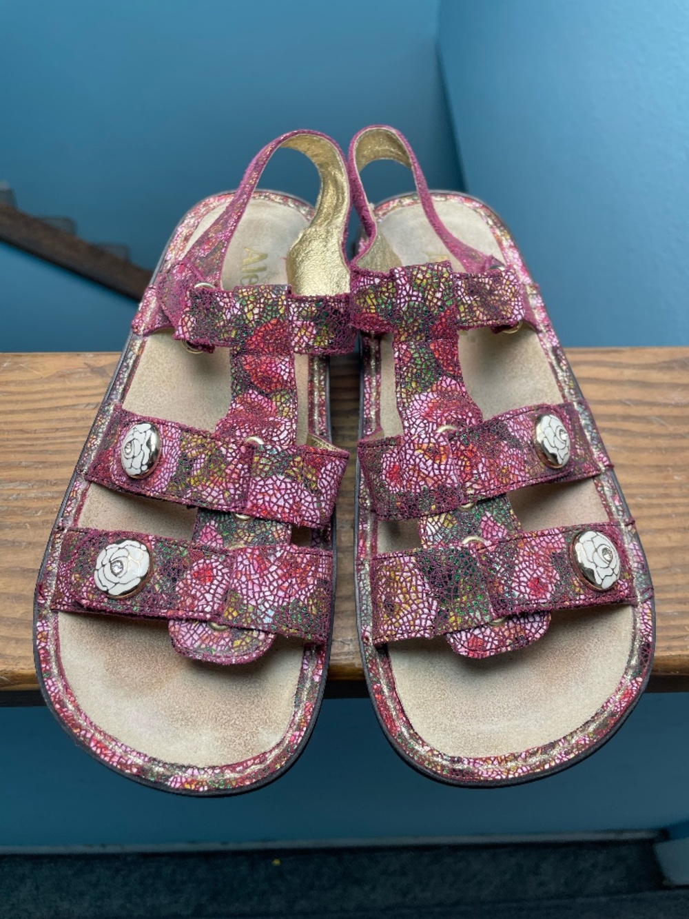 Alegria Kleo Pleasant Garden Burgundy Slingback Sandals Rose Shoes 39 9 EUC!